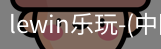乐玩lewin